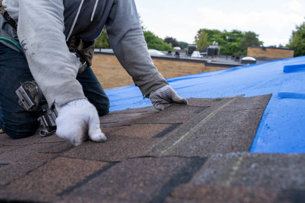 Best Commercial Roof Installation  in Prosperity, SC